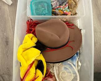 Assorted Costume Accessories and Craft Supplies