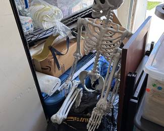 Life-Size Poseable Skeleton Decoration