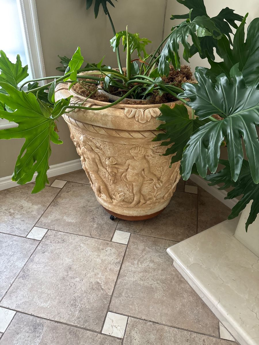 Giant ornate Planter Pot with plant and base