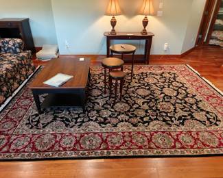 308 – Hand-Knotted Persian-Style Rug — 9' x 12'