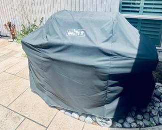Huge grill with cover