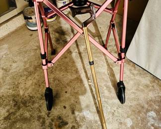 WAlker and cane