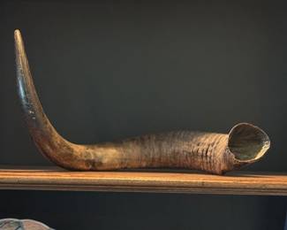 Authentic Horn