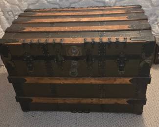 Chest/ trunk