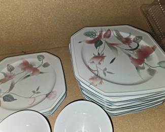 Dish set
