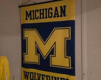 Michigan banner