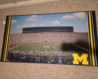 Univ. of Michigan photographic rug