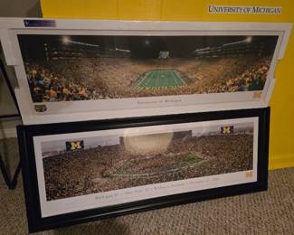 Univ. of Michigan panoramic pictures