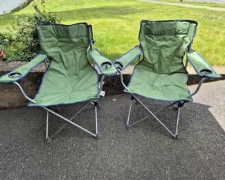 Lot 54: Two Fun in the Sun Deluxe Arm Chairs