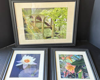Lot 8: Framed botanical and landscape prints