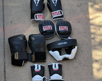 Lot 12: Boxing gloves, headgear, and protective pads