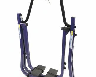 IN-Stride Walker