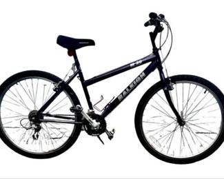 Raleigh Mountain Bike