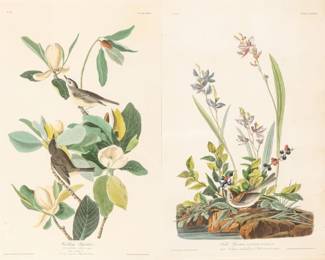 Lot 1028 After John James Audubon (American, 1785-1851) Hand Colored Engravings with Etching and Aquatint on Paper 'Field Sparrow; American Redstart; Maryland