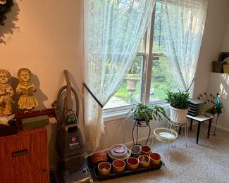 Plants, filing cabinet, outdoor pots 