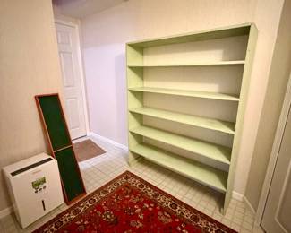 Rug, shelving units, dehumidifier 