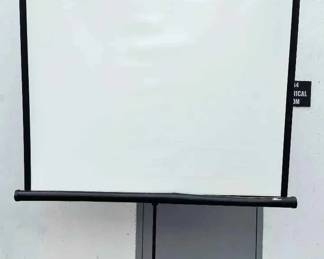 14CT239Elite Screens Projector Screen