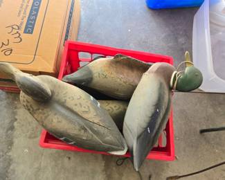 plastic duck decoys