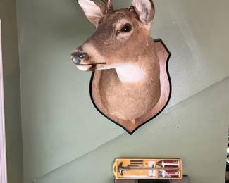 Mounted Whitetail Buck Shoulder Mount  Gun Cleaning Kit