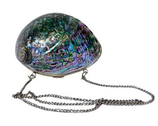 Alpaca Silver Abalone Shell minaudière clutch