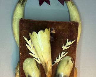 Victorian Horn Catch All Wall Hanging