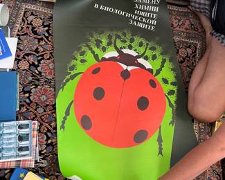 This one is about lady bugs being a good alternative to pesticides I believe!