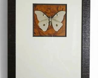 Butterfly Art Print