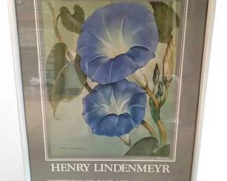 Framed Flower Print by Henry Lindenmeyr