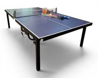 Ping Pong Table