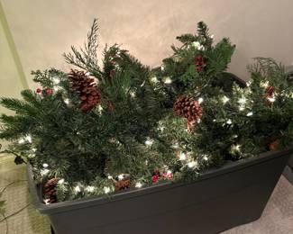 Garland with lights