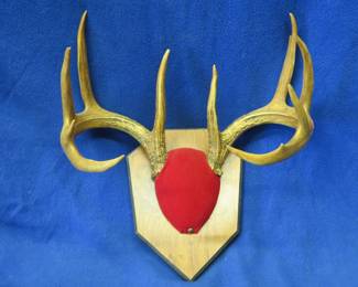 Lot 102. Mounted 10-point whitetail deer rack