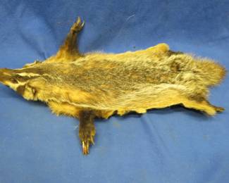 Lot 83. Badger hide