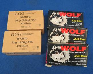 Lot 57. 160 .223 Rem rounds. 100 GGG. 60 Wolf.