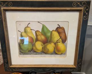 Framed hand colored chromolithographs, pears