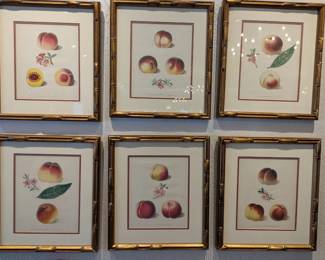 19th c. Peach Chromolithographs 
