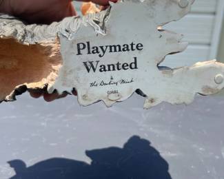 playmatewanted