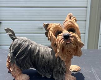 yorkiepmwanted