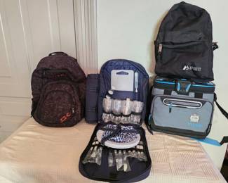 200 BackpacksCoolerPicnicKitInABackpackOfCourse
