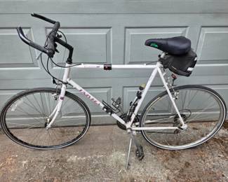 245 VintageUnivegaViaMontegaHybridBike