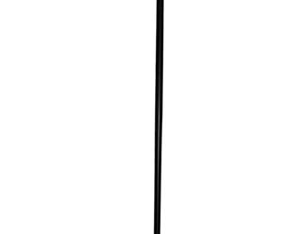 Walking Cane