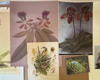 BKB174 - Assortment Of Outdoor Prints