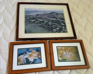 BKB109 - Local Hawaii Framed Photography