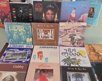 BKB014 - Vintage 33 RPM LPs