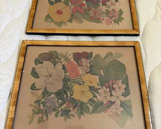 BKB149 - Framed Prints of Flower Paintings