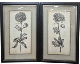 439 - Pair Uttermost Botanical Prints Under Glass (Description): 49.5 x 32