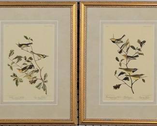 9086 - Set of 2 Antique Birds by John J Audubon (Description): 13 X 17