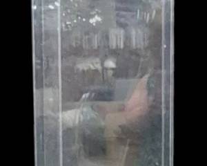 258 - Chelsea House Acrylic Pedestal 42 x 12 x 12