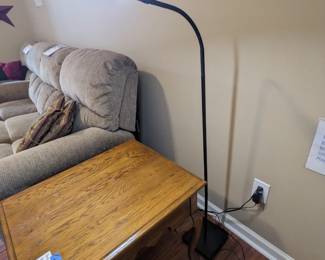 Gooseneck floor lamp