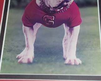 UGA II 1966-1972