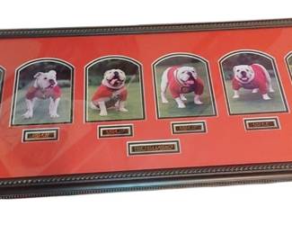 The UGA Legacy" Limited Edition piece is number 1607 out of 7500 Produced 325.00 Highly Sought After -Rarely Sold